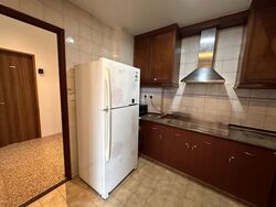 Dover Parkview (D5), Condominium #589337151